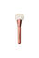 FAN BRUSH
